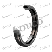 ������ OTICO 010346.00 250x42